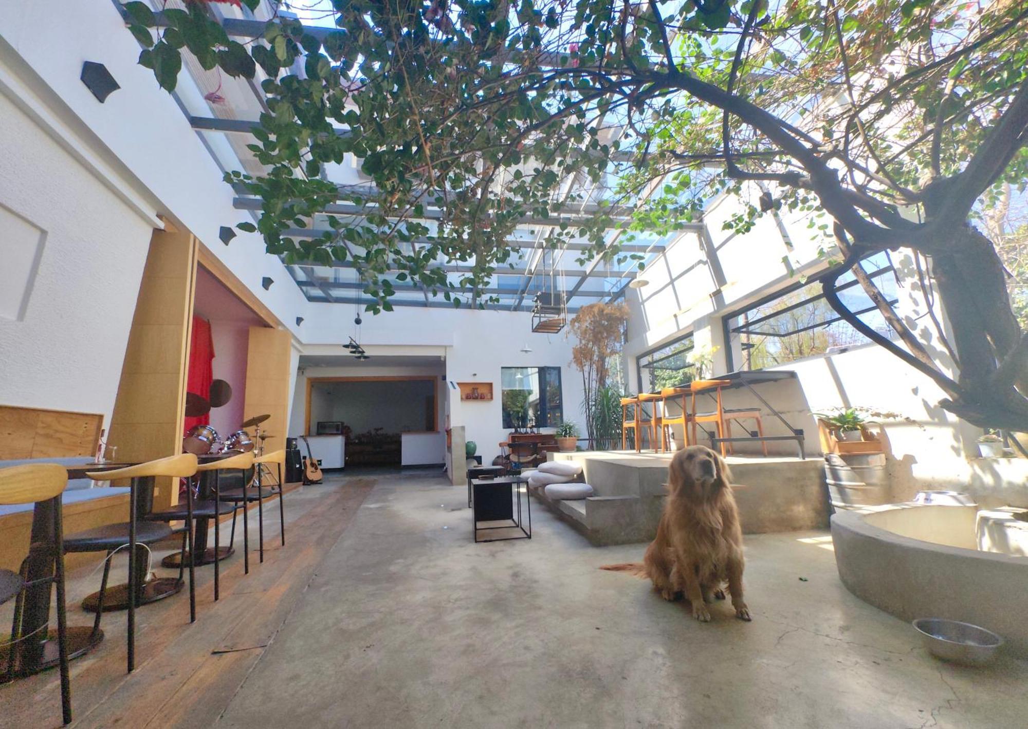 Dali Loft Travelling With Hostel Luaran gambar